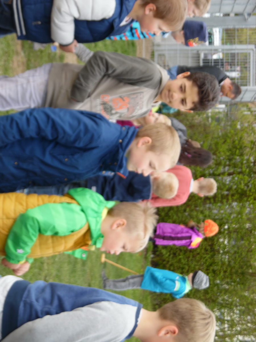 2016 (05) school Festival 42.JPG
