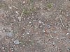 2016 (05) school Festival 25.JPG
