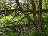 2016 (05) school Festival 27.JPG