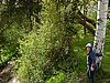 2016 (05) school Festival 29.JPG