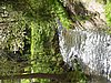 2016 (05) school Festival 31.JPG