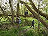 2016 (05) school Festival 34.JPG