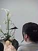 2016 (05) Jens & Nicole Wedding 23.JPG