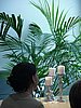 2016 (05) Jens & Nicole Wedding 30.JPG