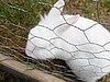 2016 (05) Jens & Nicole Wedding 72.JPG